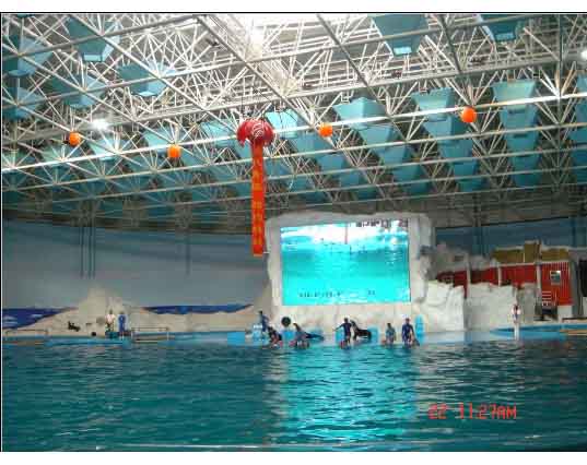 新密游泳馆螺栓球网架